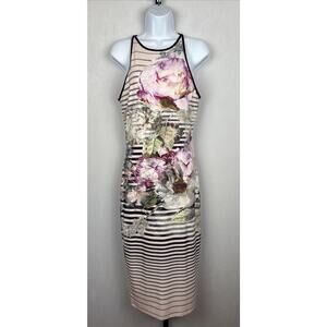 Ted Baker Laya Peony Sleeveless Midi Dress Size 4-6 Floral Striped Bodycon Art